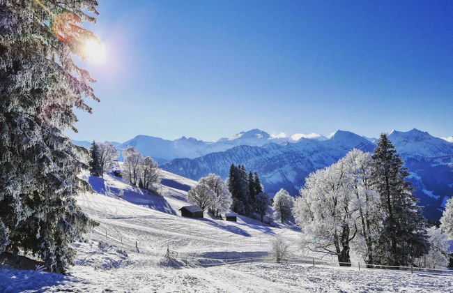 Lilo/2-Zimmer - Foto 29