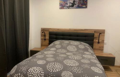 L Inimitable spacieux et lumineux avec 2 chambres - Foto 3