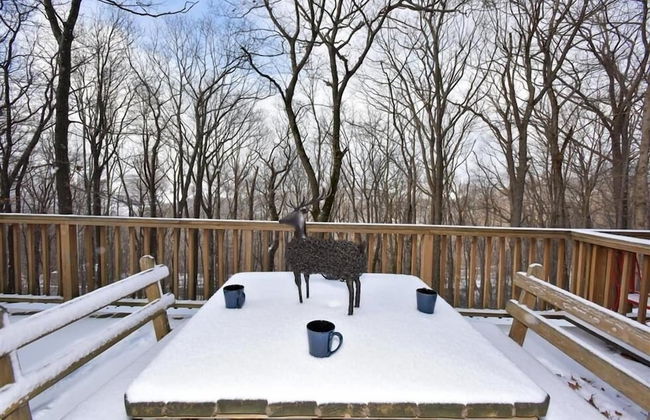 Seven Springs 4 BR Deluxe Townhouse, Sleeps 11! by RedAwning - Foto 23