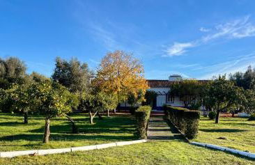 Quinta do Céu Tranquilidade e Piscina no Alentejo - Foto 34