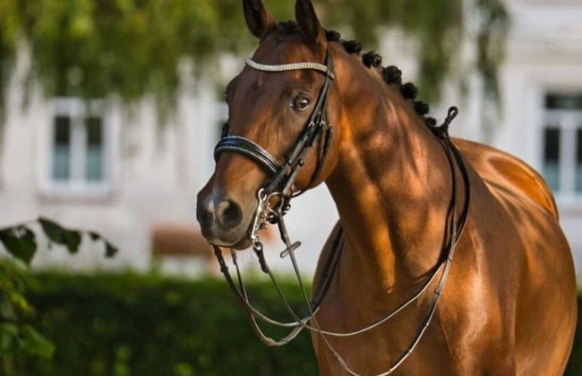 Fordebrise Modern Retreat - Photo 27