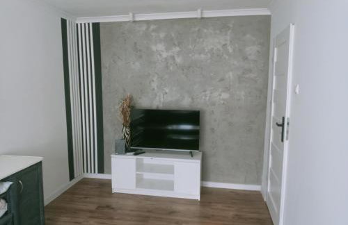 Apartament na Krakowskiej w Dębicy - Foto 9