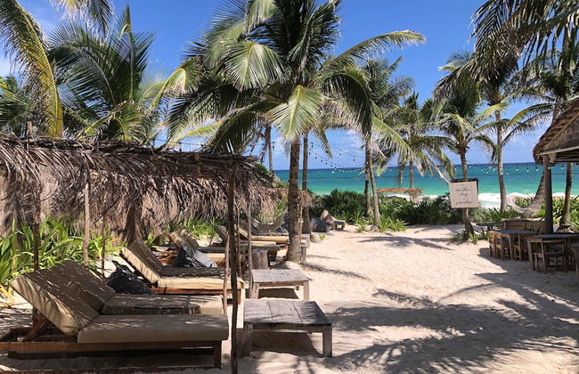 Beautiful Jungle Loft With Rooftop Pool and Gym - Photo 32