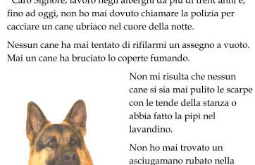 Agriturismoteo - Foto 15