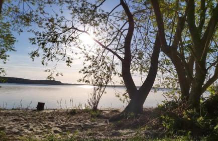 Nowy domek drewniany Tu Mi Dobrze w Lubkowie z plażą - Foto 12