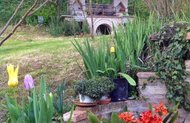 Mulino Della Ricavata - Foto 27