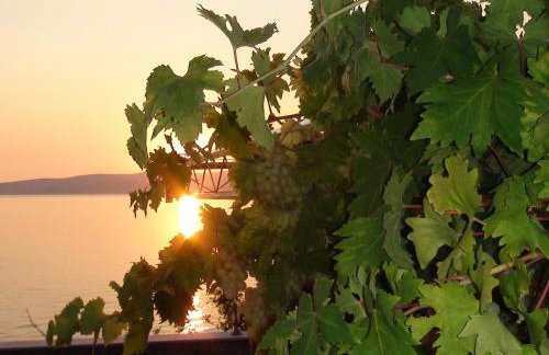 Villa Arca Adriatica - Foto 3