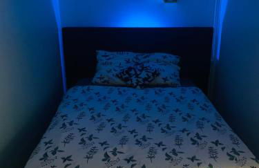 Appartement cosy proche Roissy CDG Astérix DisneyLand Paris - Foto 14