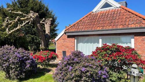 Ferienhaus Norderwieke - Foto 4, Garden