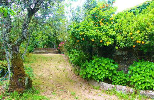 Quinta da Lapa do Gato - Foto 16