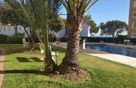 Golden Estudio - Photo 10