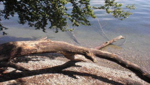 Ferienwohnung Wertke (F****) Konstanz - Foto 4