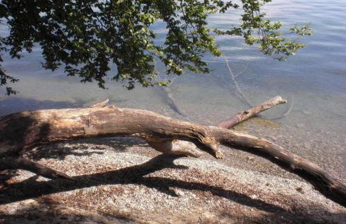 Ferienwohnung Wertke (F****) Konstanz - Foto 4