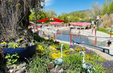 Sport Court! Hot Tub! Putting Green! Bunk Room! - Foto 79