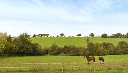 Mount Cottage - Foto 2