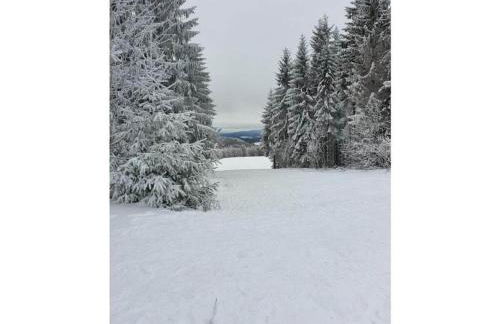 Wellness Home with Garden - Foto 17