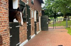 Carpe Deimern in der Lüneburger Heide - Foto 14