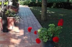 Silos Torrenova - Foto 50