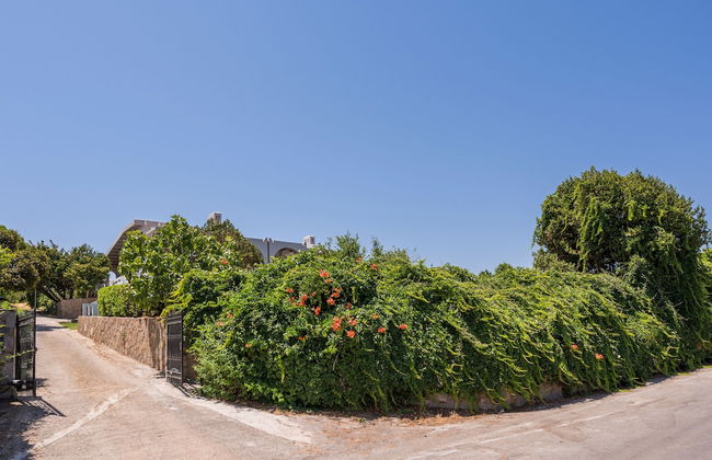 Hilltopanorama - Foto 22