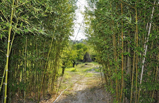 Holiday Home in Lido di Noto Near Beach - Foto 17