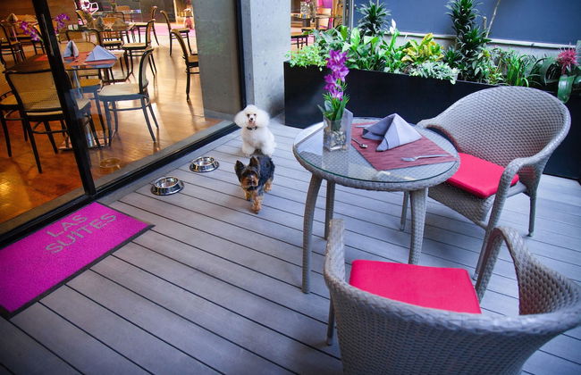 Las Suites Campos Eliseos - Foto 59