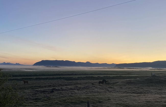 Álftártunga farm guesthouse - Foto 26