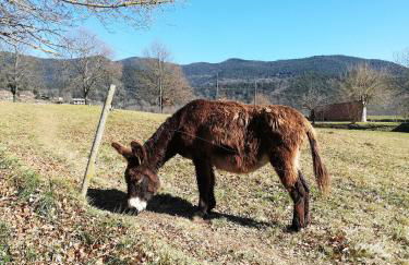 Casa Can Boix - Foto 45