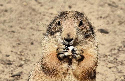 Viadrina Rooms & Apartments Frankfurt-Oder am Park im Zentrum - Foto 38