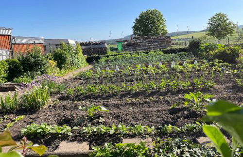 Ferienwohnung Seeleshof - Foto 27