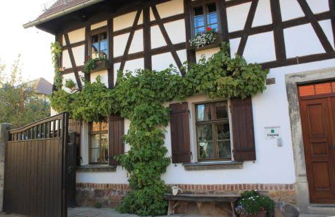 Schäferwagen im Leipziger Neuseenland - Foto 8