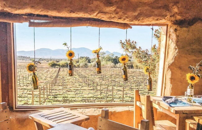 Ecovino Valle de Guadalupe - Foto 72