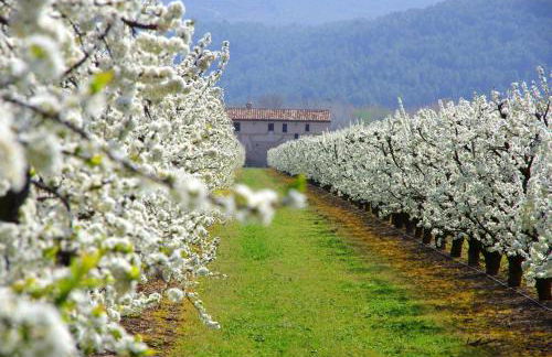 La Ultima Casa Masboquera - Foto 69