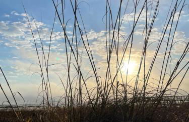 The Islander- Luxurious Island Oasis - Foto 57