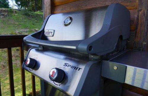 Mountain View Cabin, Hot Tub at White Pass Resort, Mt Rainier - Foto 16