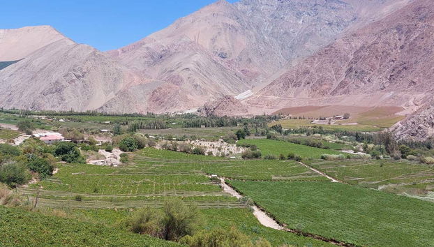 El valle del Elqui destaca por sus contrastes