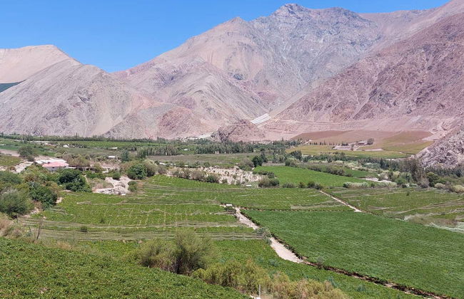Elqui Valley Tour - Photo 4