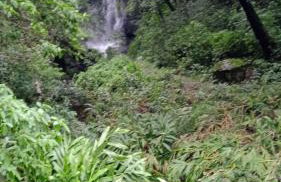 Recanto Das Águias - Foto 32