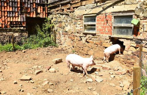 Wohnung in Huddingen mit Terrasse - Foto 70