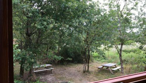 Évasion romantique en roulotte autonome avec confort moderne en pleine nature - FR-1-591-552 - Foto 3