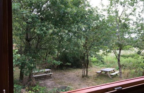 Évasion romantique en roulotte autonome avec confort moderne en pleine nature - FR-1-591-552 - Foto 8