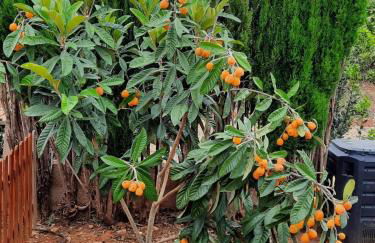 Casa Villami, GROUND FLOOR APARTMENT - Foto 16