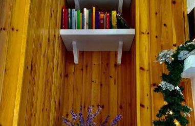 NadSan Mountain House - Photo 15