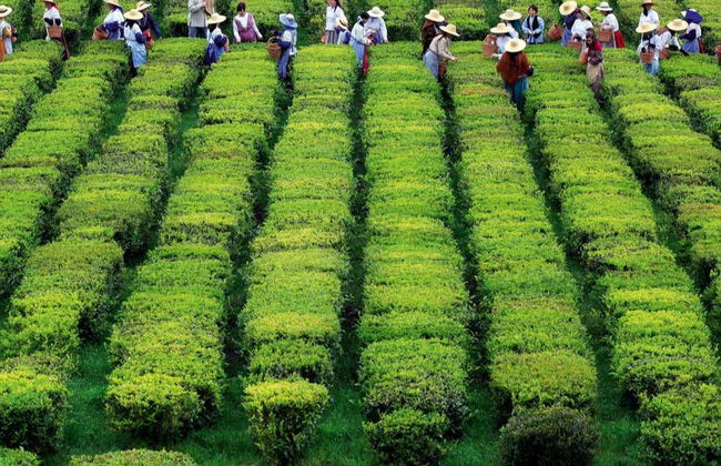 São Miguel Private Tour - Foto 6