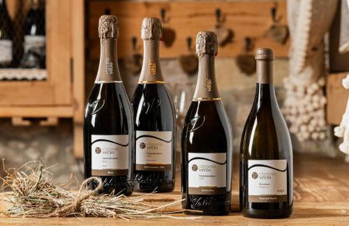 Agriturismo Vigneto Vecio - Foto 24