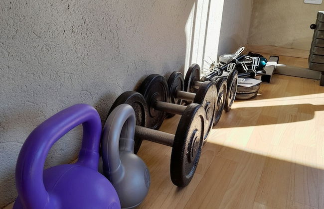 Olivos de Monte - Foto 42