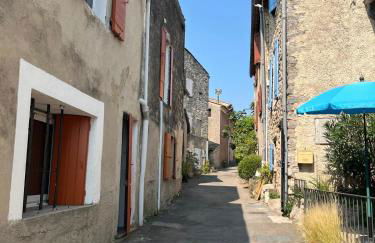 La Boissetane, maison provençale avec piscine et jardin, au pied du Luberon - Foto 38