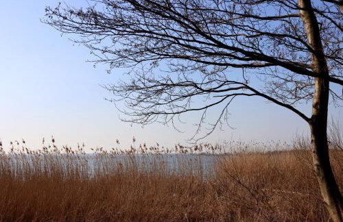 Agroturystyka Gardna Wielka - Foto 19