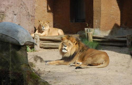 Ferienwohnung Prey - Foto 35