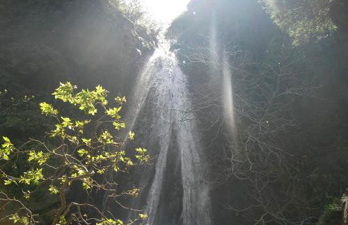 Elia Studios - Photo 53