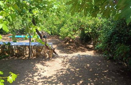 Traditional olive house - Gargalianoi - Foto 45